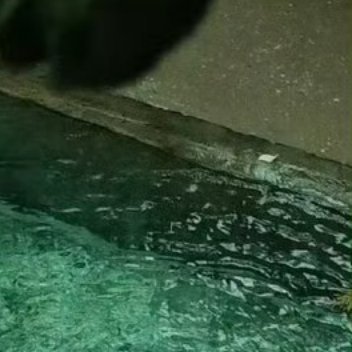 学会忍耐，往往比强势更可贵。路过的人，沿途的风景，不同的感受，无与伦比的心情，只