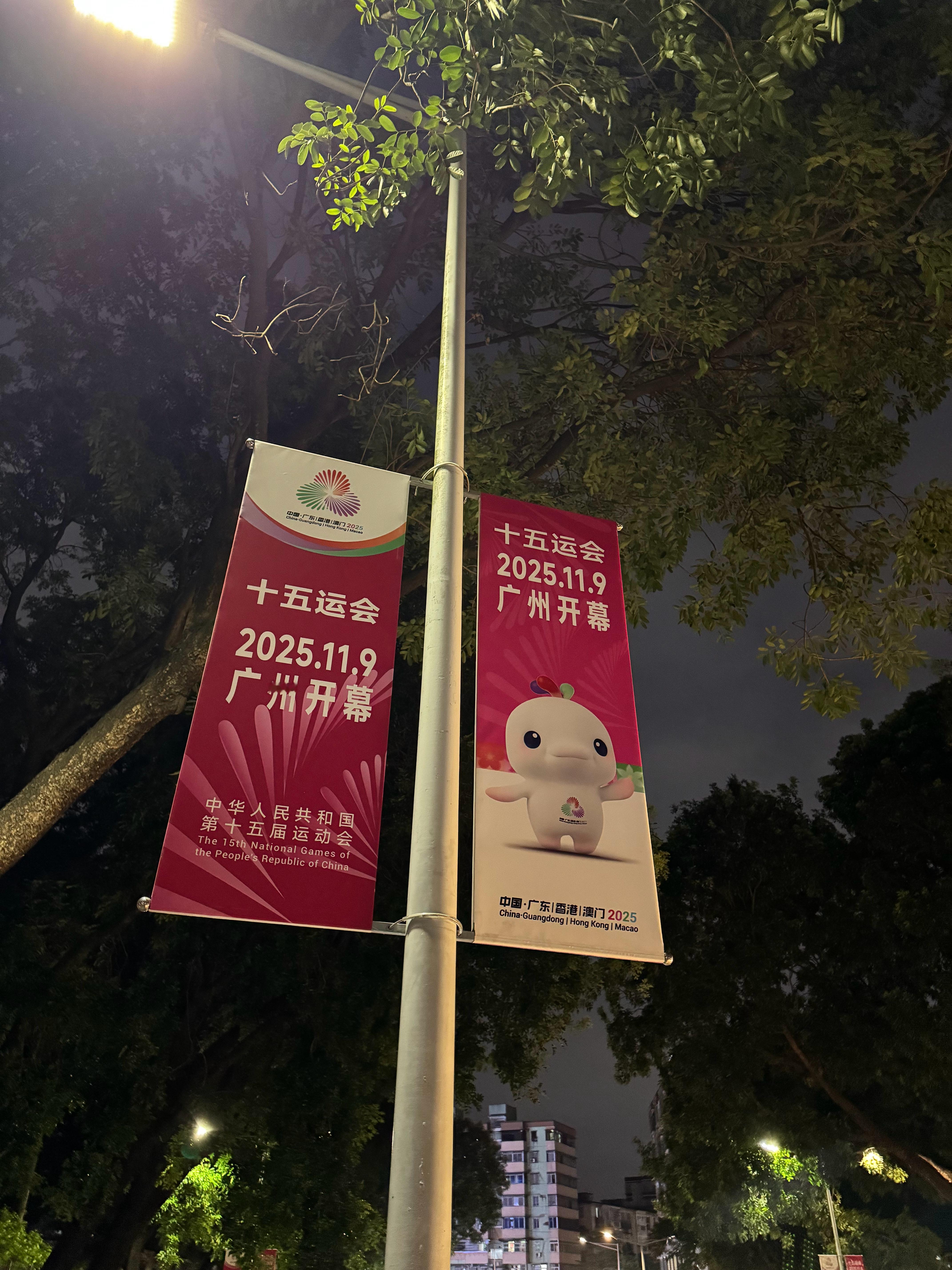 身边的全运气息 ​​​