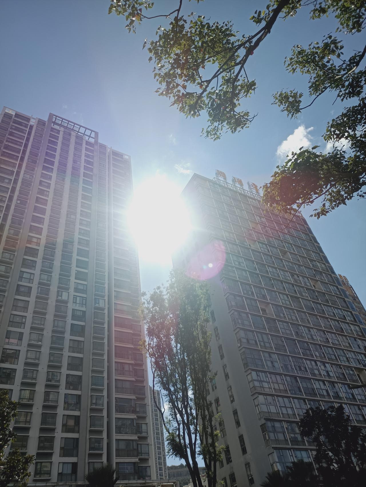 随拍秋高气爽的景色
