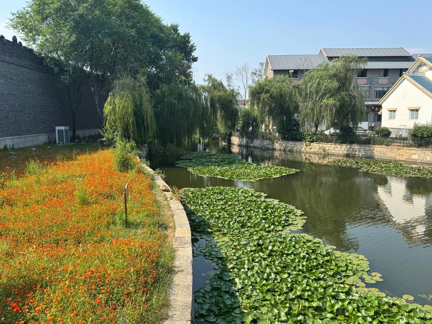 来枣庄赴一场硬核工业之旅枣庄欣生探访画上句点，邂逅运河古韵烟火，见证新能源蓬勃生