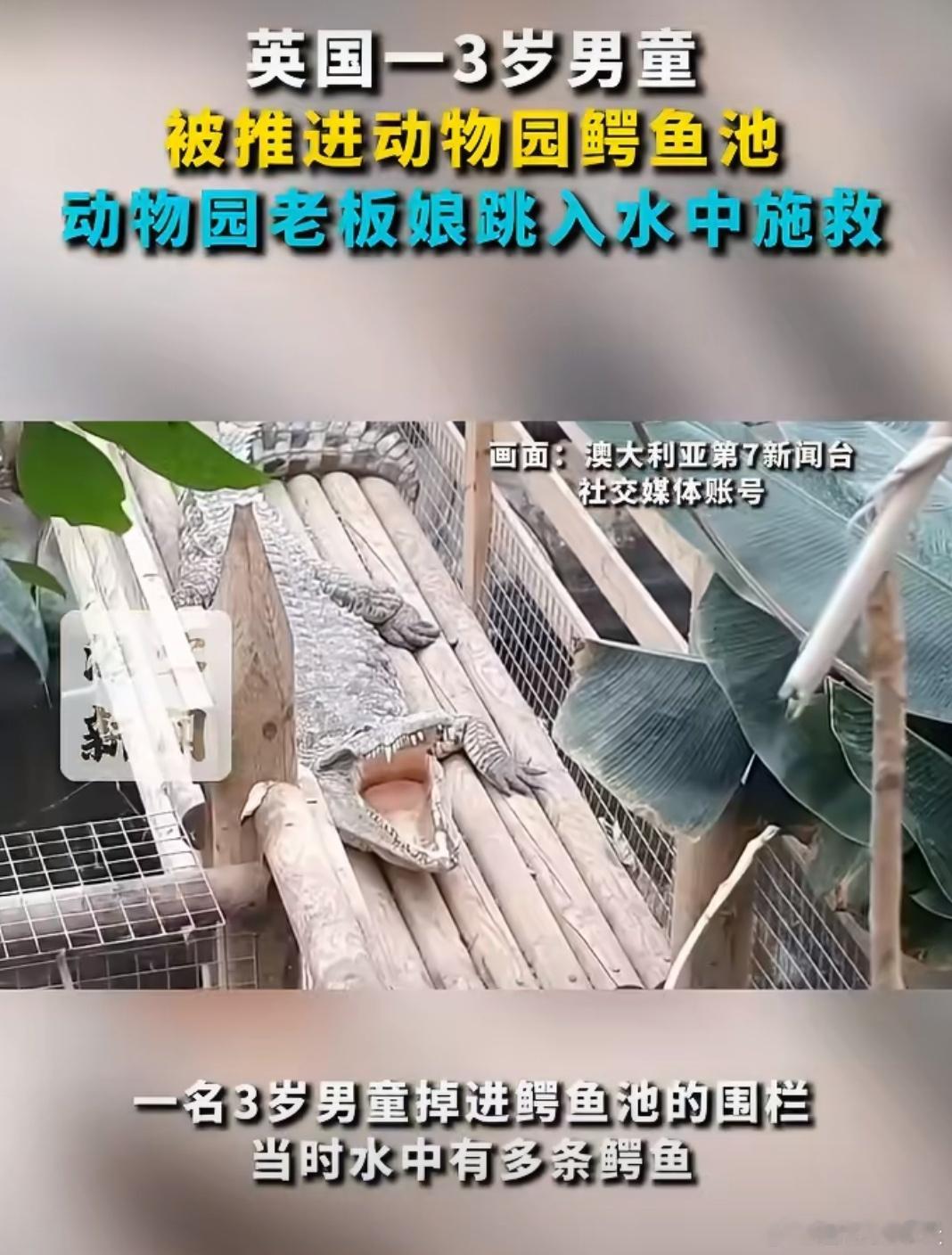 英国3岁男童被推进动物园鳄鱼池这个人真的是太狠了，双方都不认识，竟然把3岁男童推
