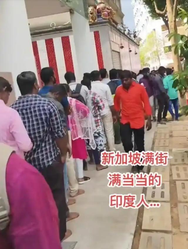 新加坡正在上演一出极其反常的戏码，占了人口绝大多数的华人，天天防着自己人，生怕旁