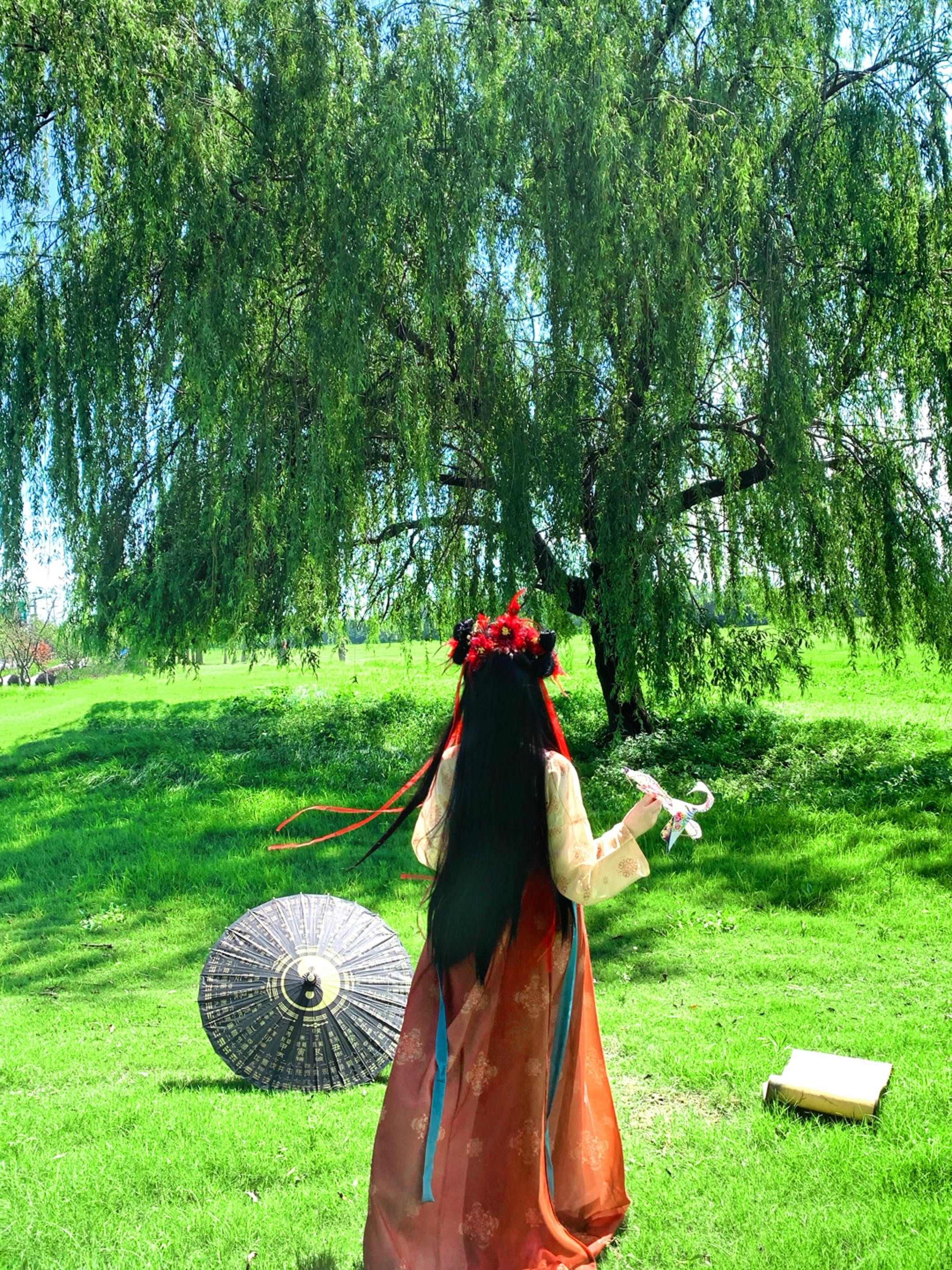 我只是一只生活在这里的小鸟罢了