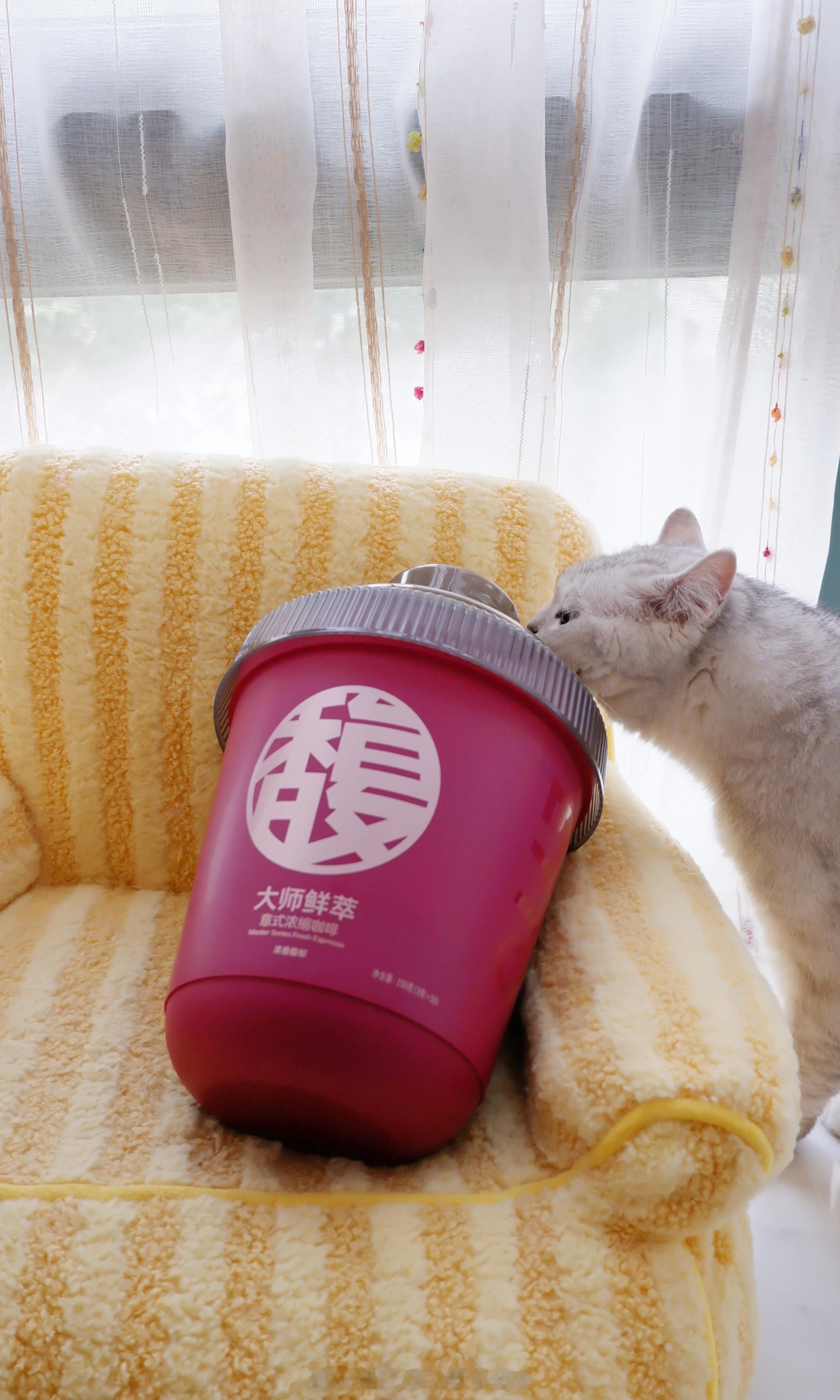 我是咖啡富人🙋🏻#喵趣横生# ​​​