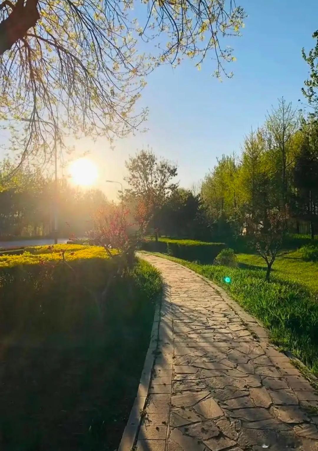 🌞你有没有这样的时刻，当阳光洒在身上，所有的阴霾都瞬间消散，感觉整个世界都亮了