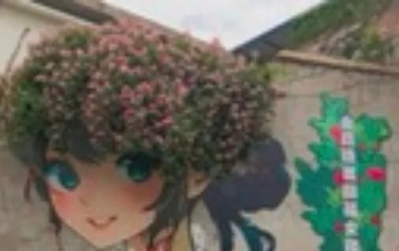 有创意 ​​​