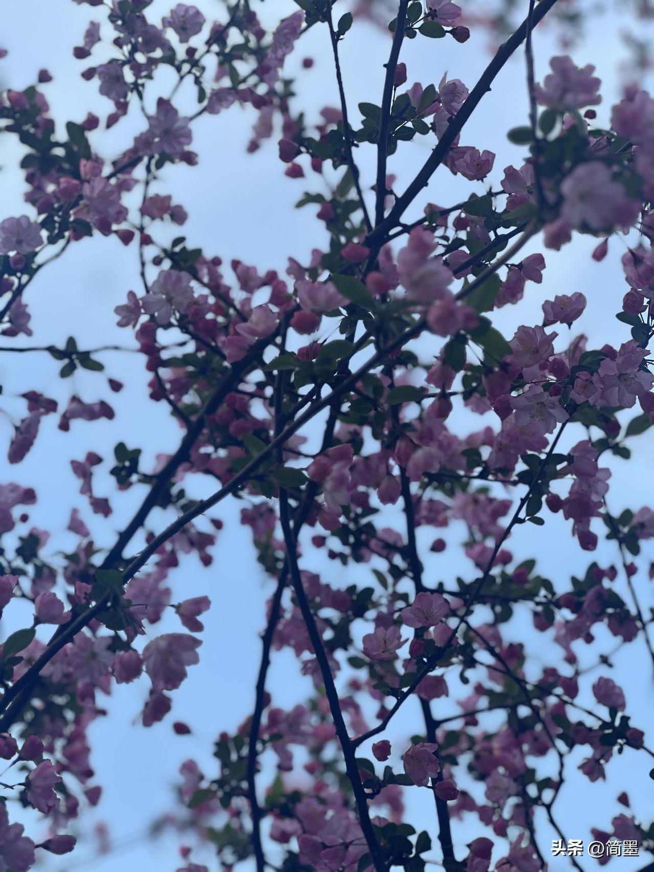 分享一张最近随手拍的照片雨天，早高峰，你们有没有忘记爸妈生日的经历？我四十岁的生