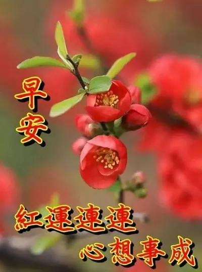 新鲜的空气，快乐的气息，祝美好生活常伴，事事顺利。[比心][福]