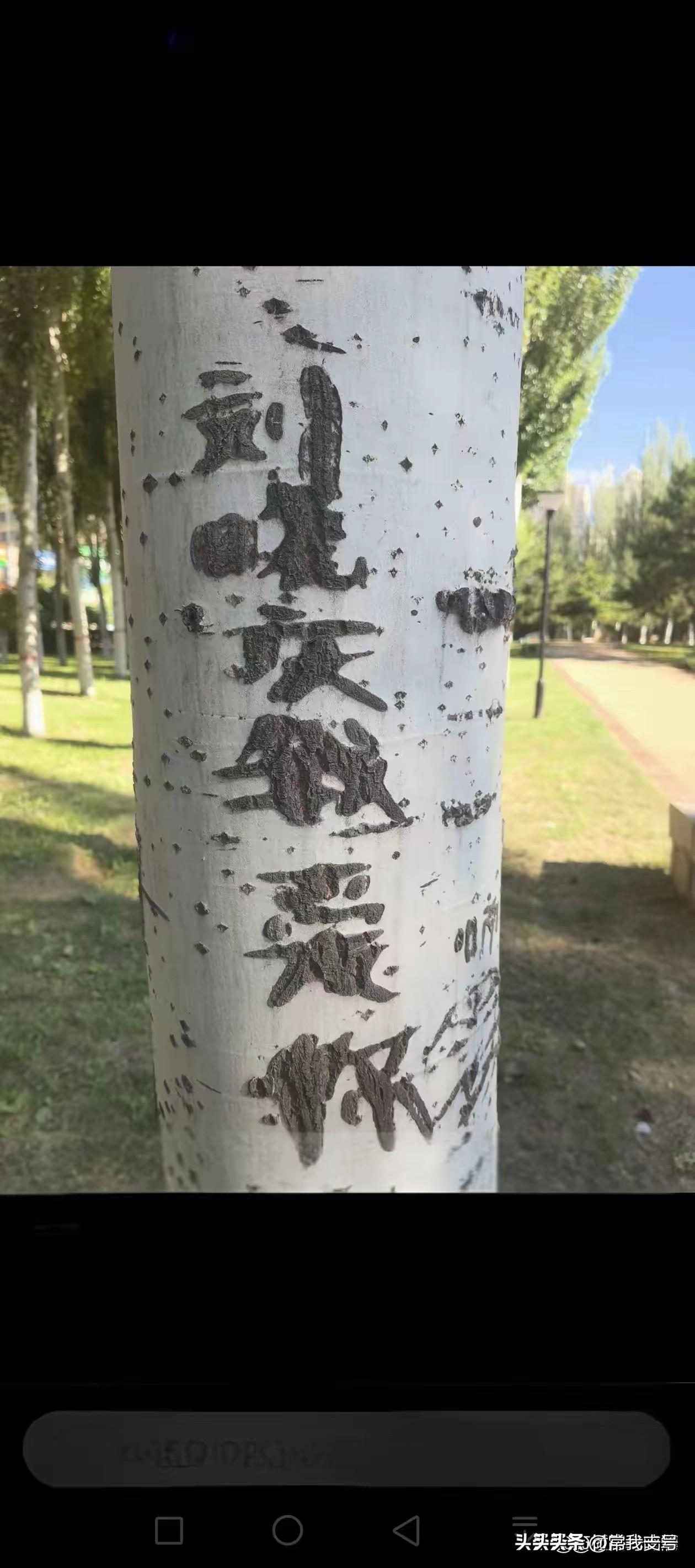刘晓庆这下恐怕又要出名了。
    刻在树干上的“刘晓庆我爱你”一眼就能看出伴着