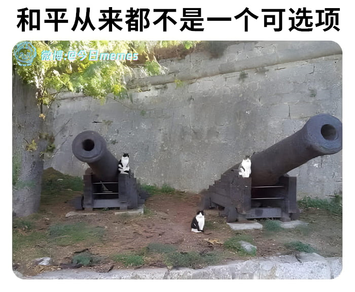 来吧（9gag）今日meme[超话] 今日memes ​​​