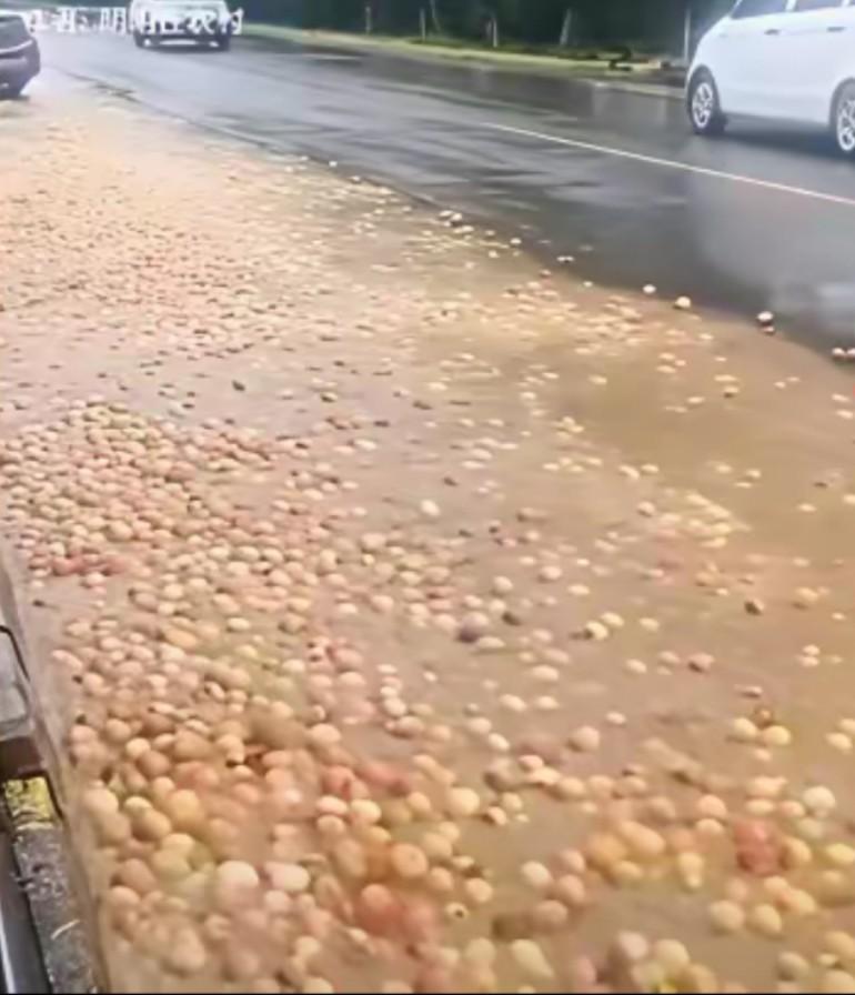 心痛！果农的苹果被洪水冲走，一年心血付诸东流，一年收入就这样被冲走了
农民朋友太