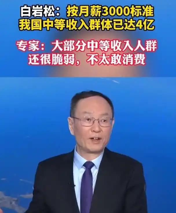 专家王一鸣表示月收入3000元就属于中等收入，主持人白岩松疑问，如果月收入300