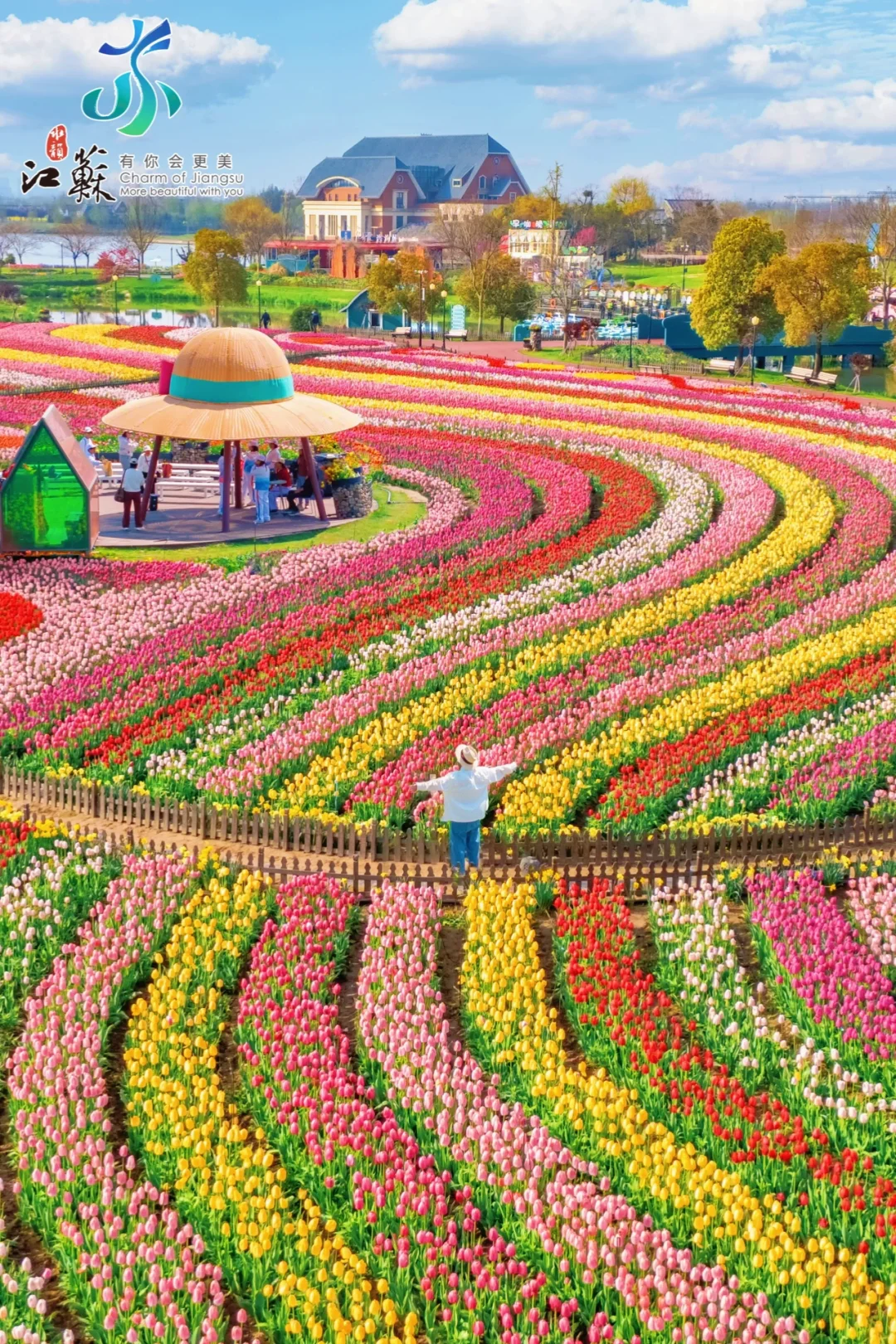 不是欧洲，在盐城，春日里的浪漫花海美到想哭