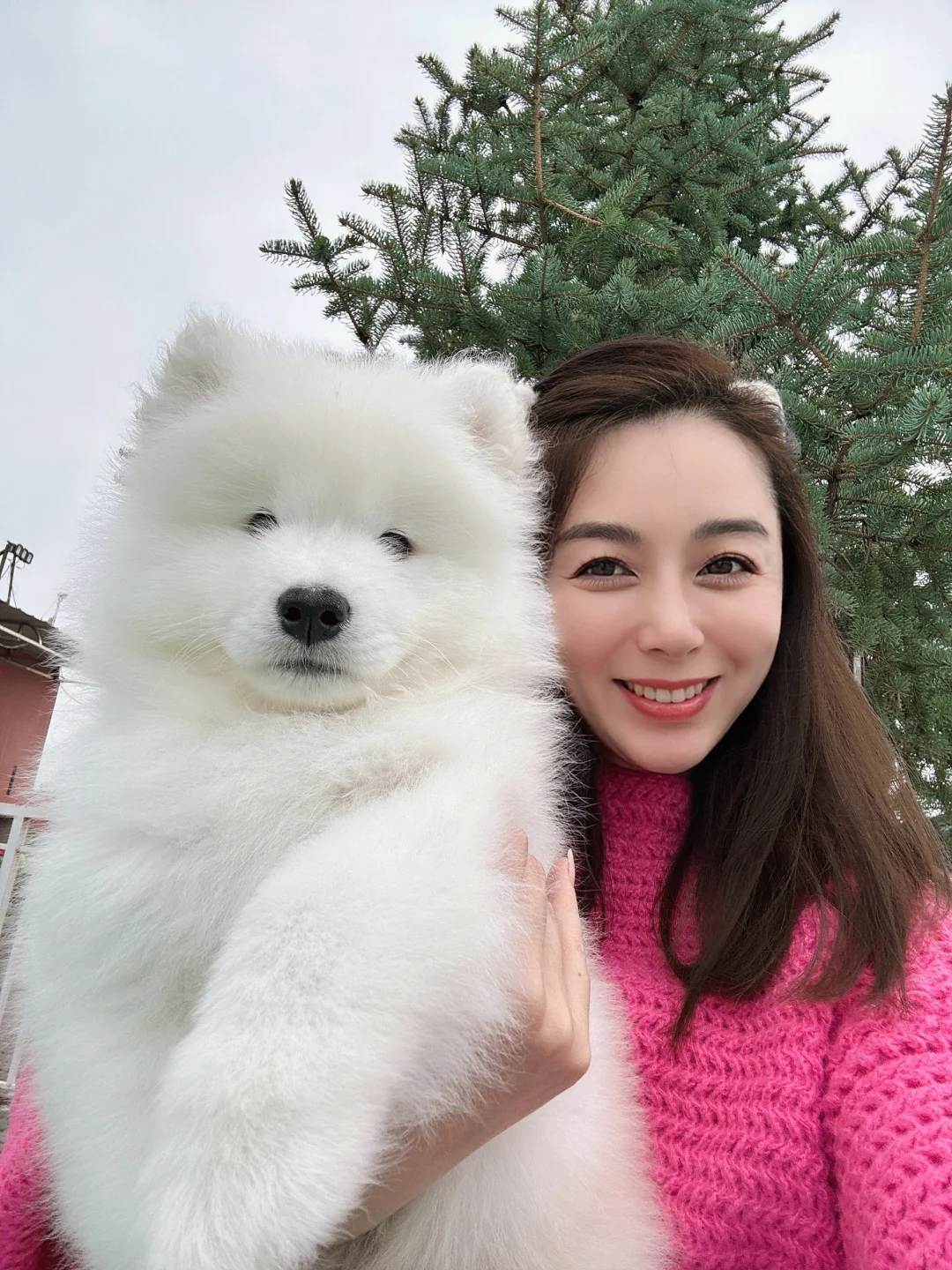 赵富贵与Queen的直子“胖弟弟” 两月龄，随拍[飞吻R]