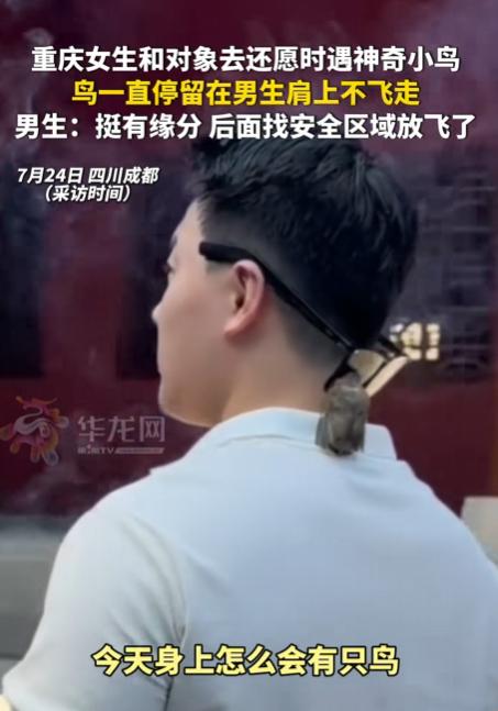 四川成都一对情侣前往寺庙还愿，坚持吃素七年的男子，在还愿过程中突然被一只小鸟主动