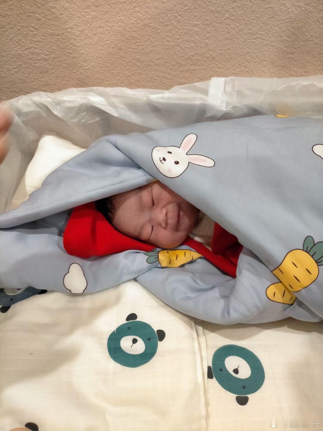 明年起发淫秽信息违法emmm，好，那么这时候就会有年轻的朋友问了，我怎么要孩子呢