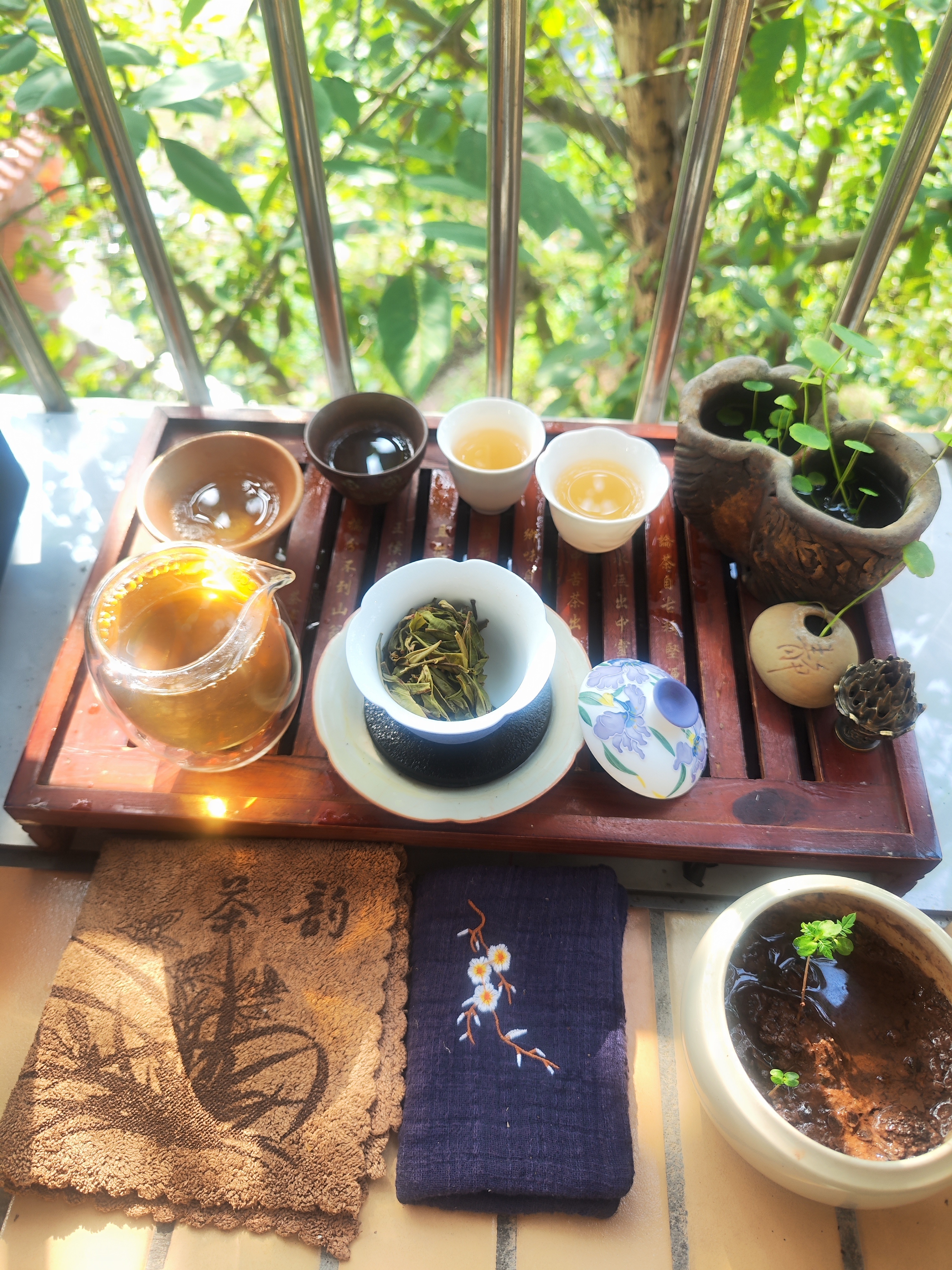 雅一杯🍵             🍵秋意绵绵，人间向晚 ​​​