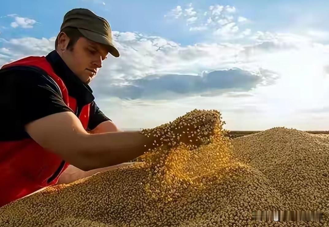 中粮集团已经购买18万吨美国大豆，预计12月1日发货，这是我国今年以来首次购入老