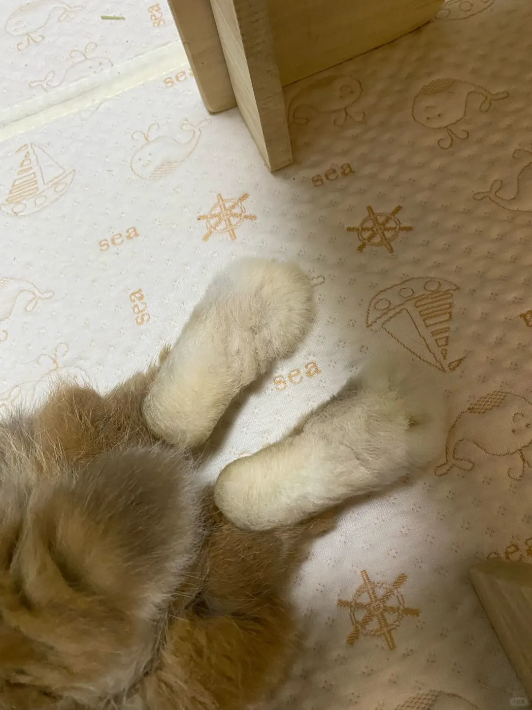 看看你的白袜子