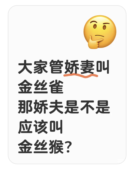 啊啊啊啊娇夫叫金丝猴，啊啊啊啊谁懂啊谁懂啊！ 