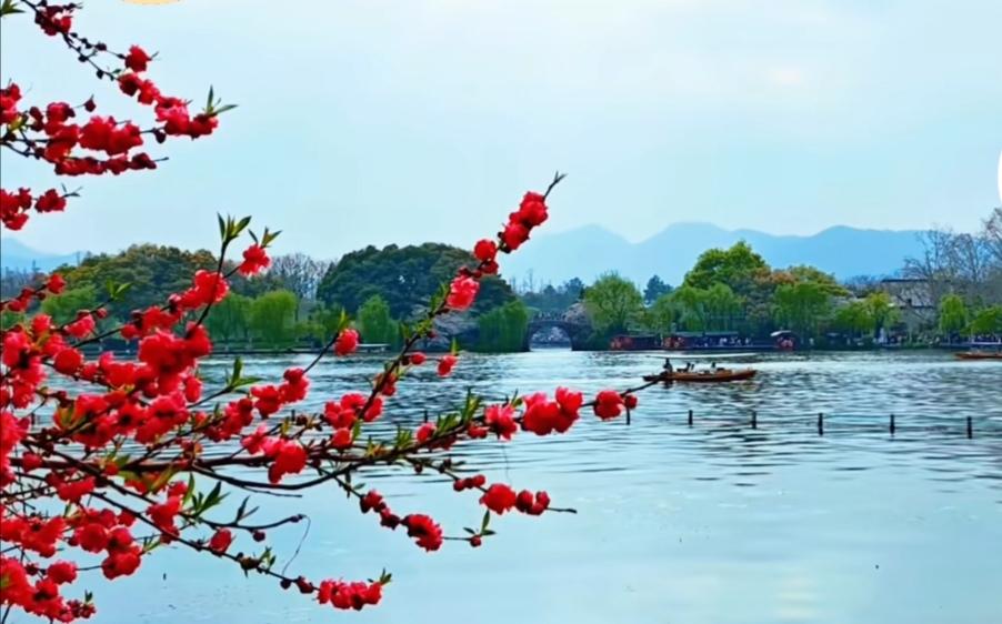 分享一下你随手拍下的照片