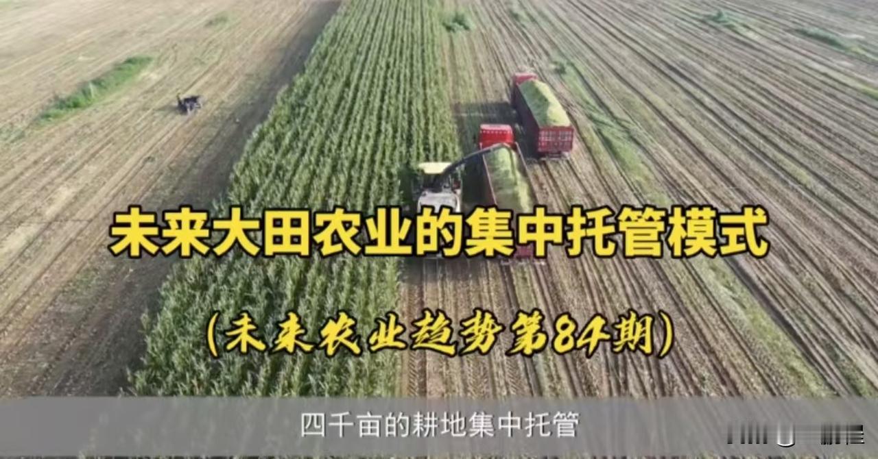 单就农业生产的效率来说这个问题就简单多了。农业集体化肯定是效率更高了，也更能走向