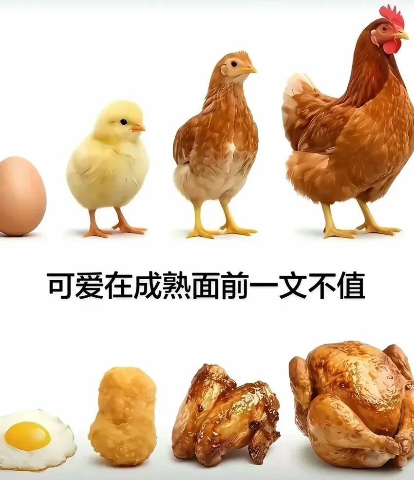 ​ ​​​