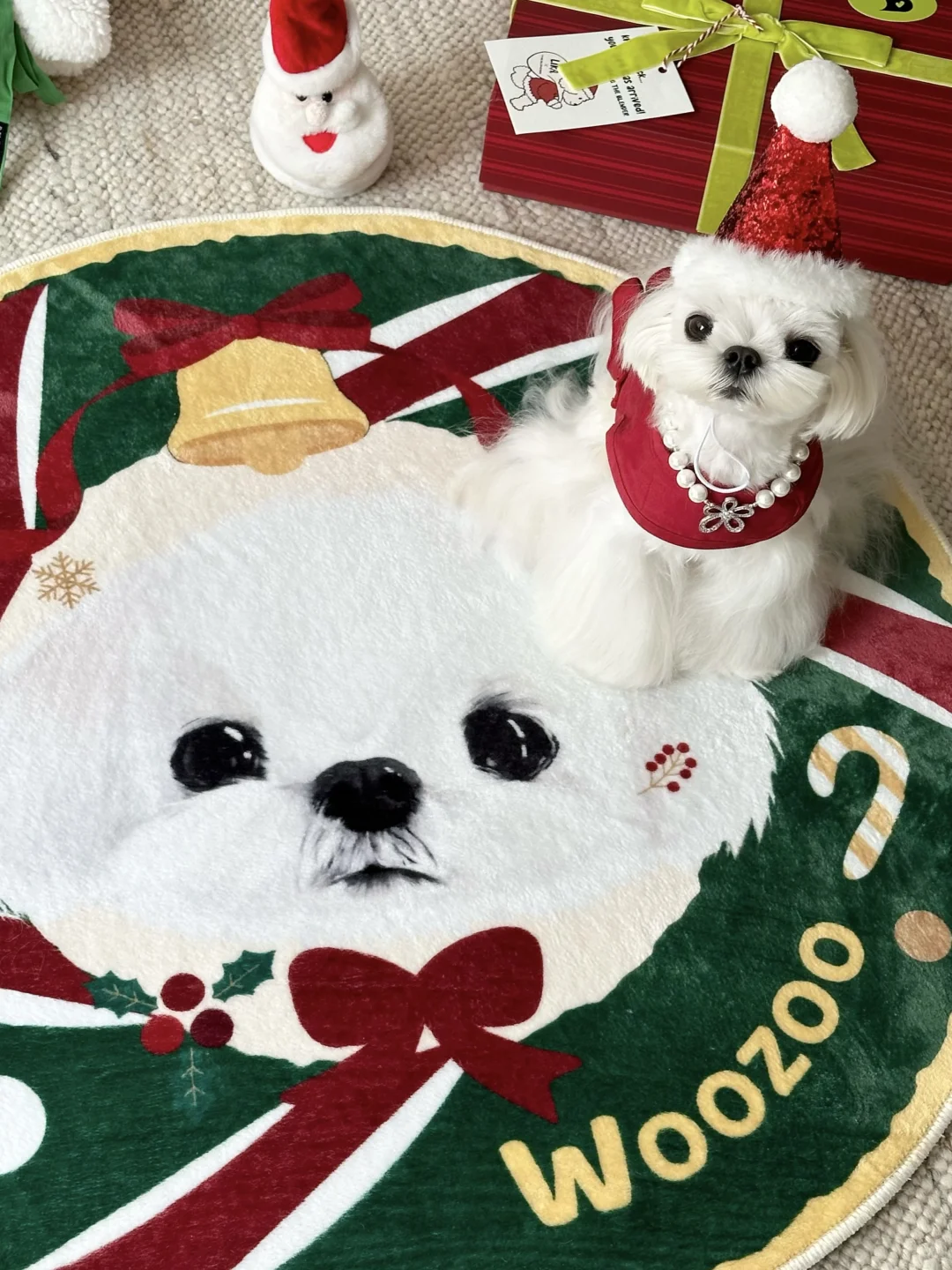 是你们想要的圣诞🎄礼物吗？