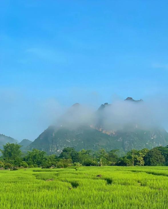 特朗普威胁因山火烟雾对加征关税
亲爱的朋友们大家好，我是海林小百科，今天我们来看