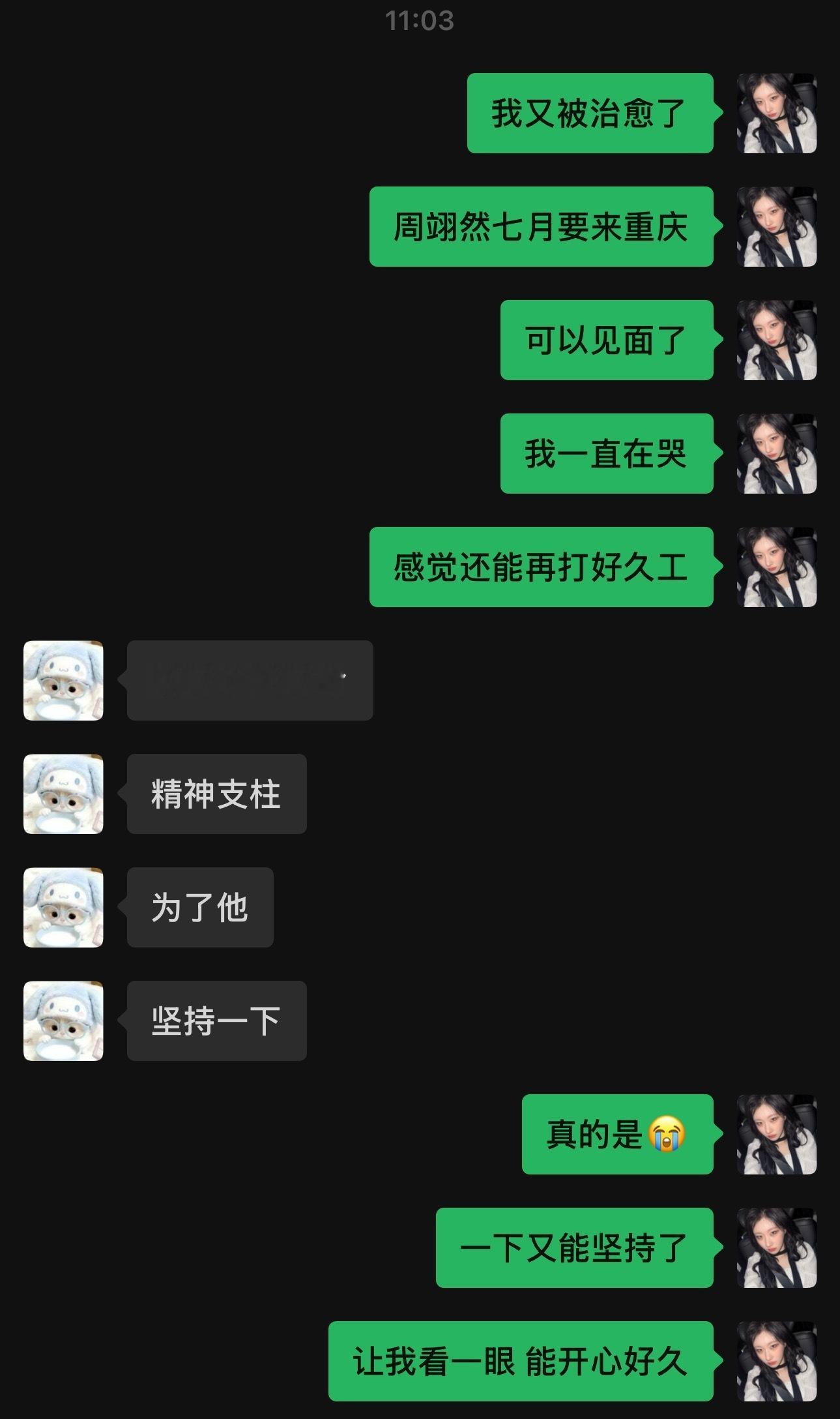 卧槽精神支柱具象化了