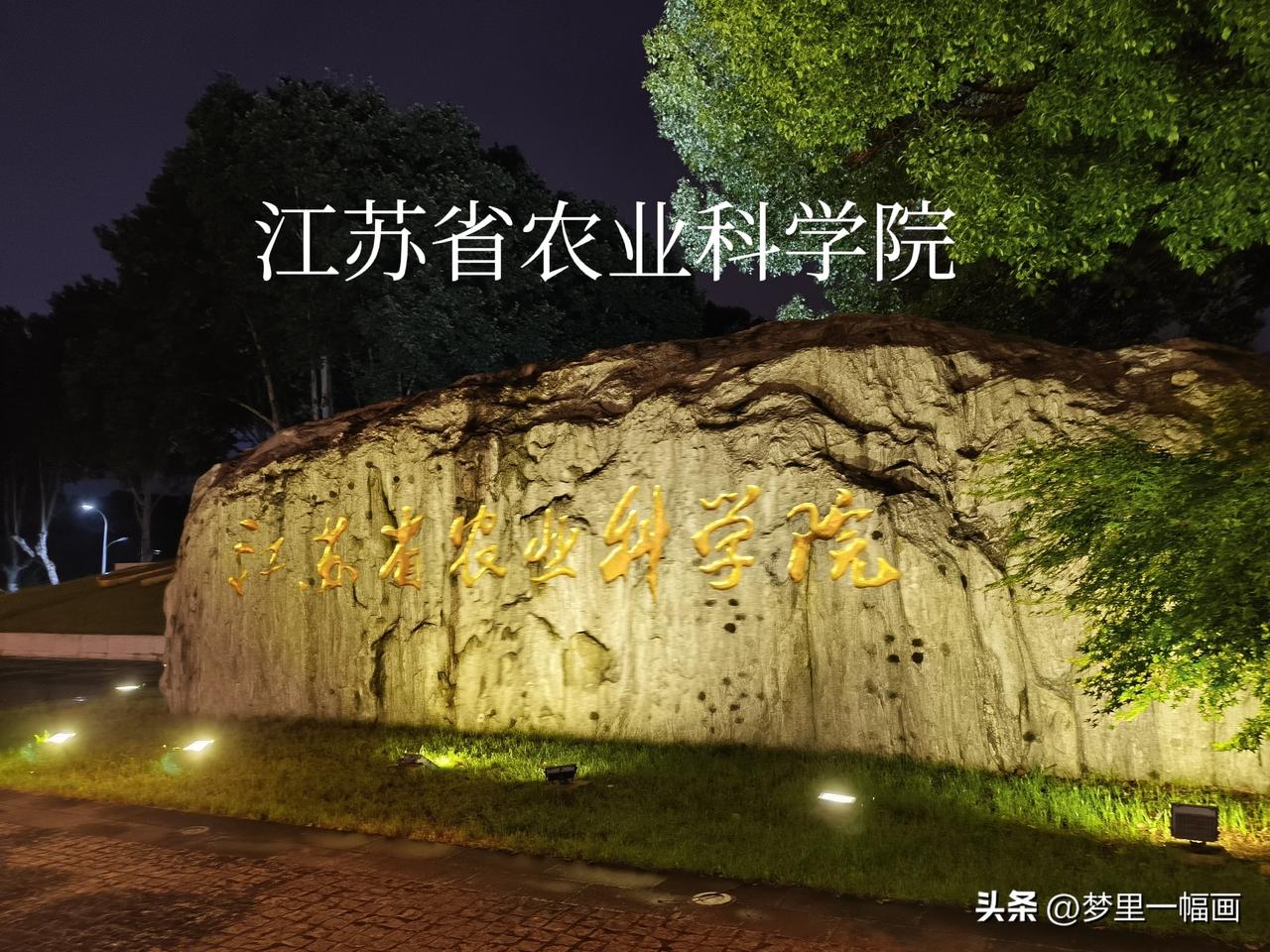 分享一张最近随手拍的照片今晚一路随拍：《江苏省农业科学院》《南京理工大学》《农业
