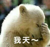 总共进行了7次   失败4次   成功3次   有点难绷🙃 ​​​