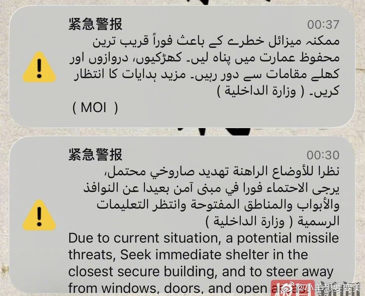 中国游客迪拜遇机场停运进退两难希望能赶紧回家 太可怕了 感觉大家都吓呆了