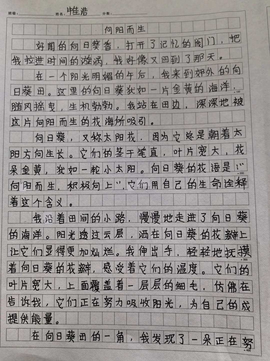 作文基础不太好，但每次都是那么认真