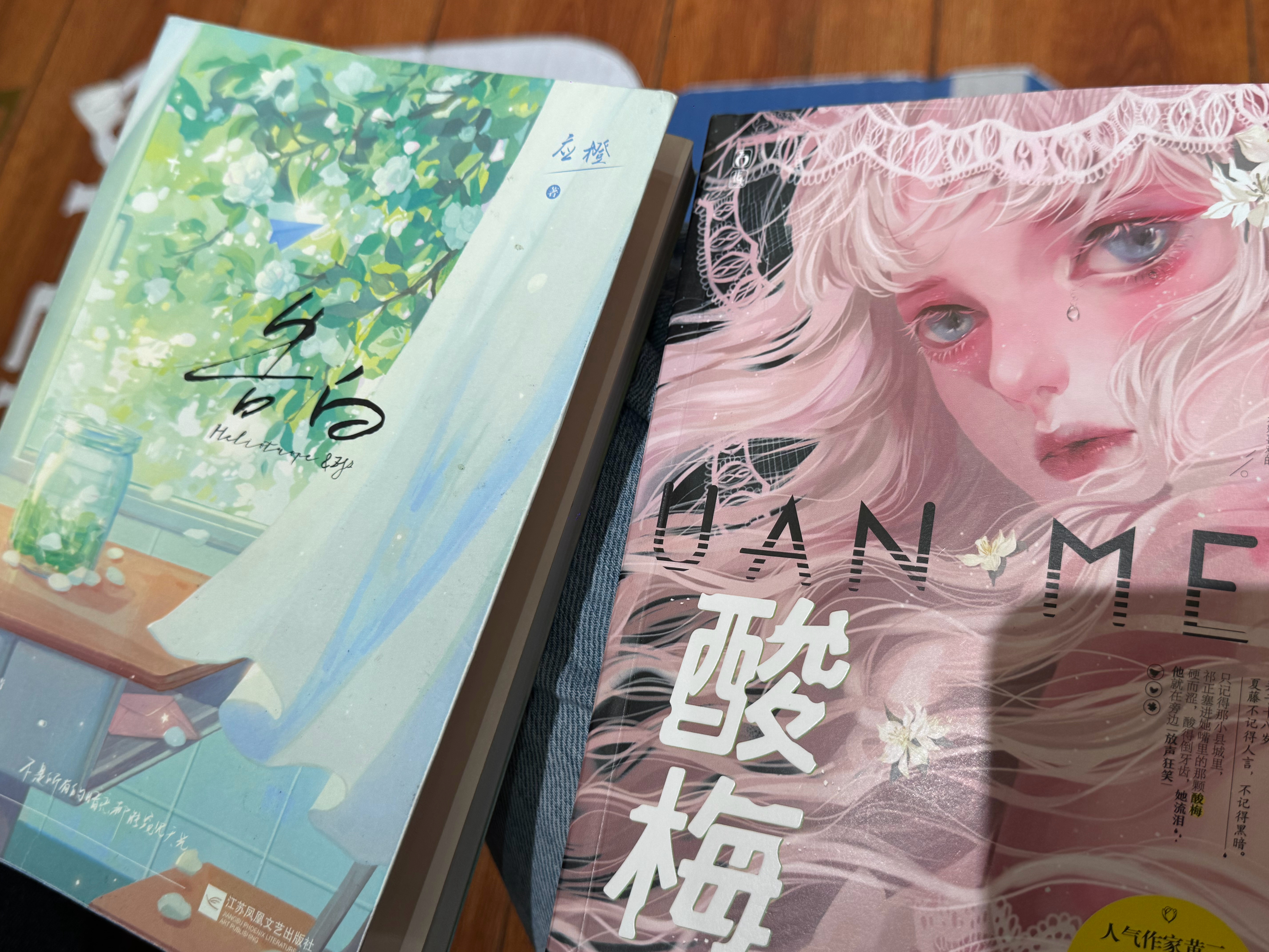 酸梅到底在哪个app看[拜托]看实体书看一半书店关门了…[淡淡的] ​​​