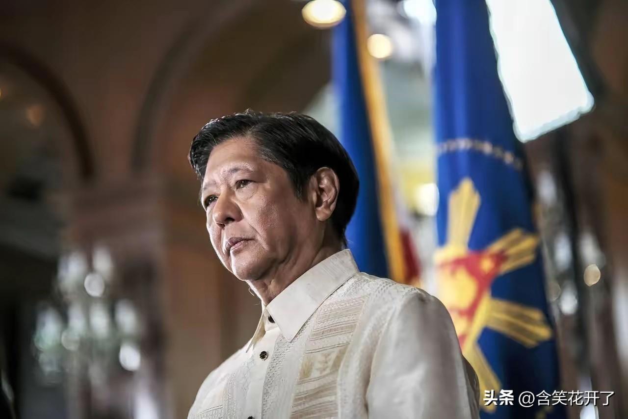 2022年，小马科斯在竞选总统时作出了七大承诺，高度契合当时民众预期，因此收获了