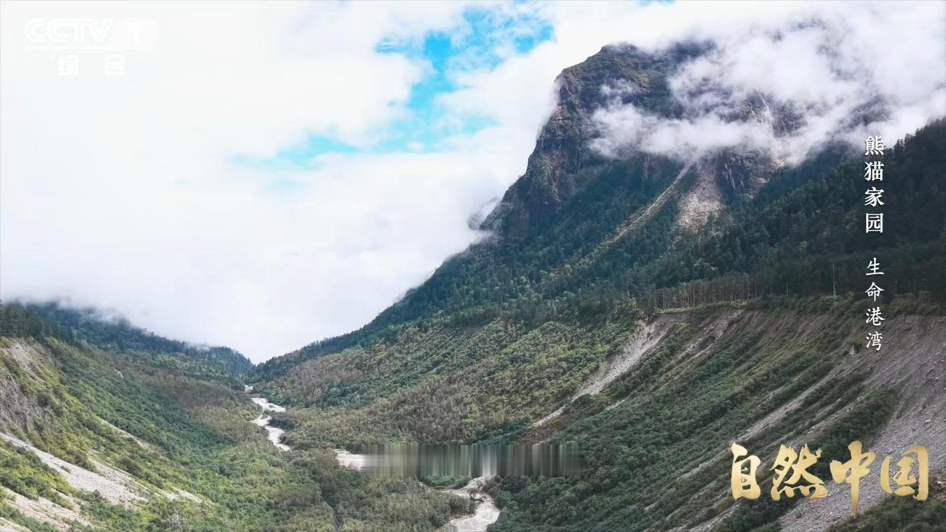 四川有一种脏脏包冰川别看海螺沟冰川长得脏，融化后还能给小动物造新家，大自然的温柔