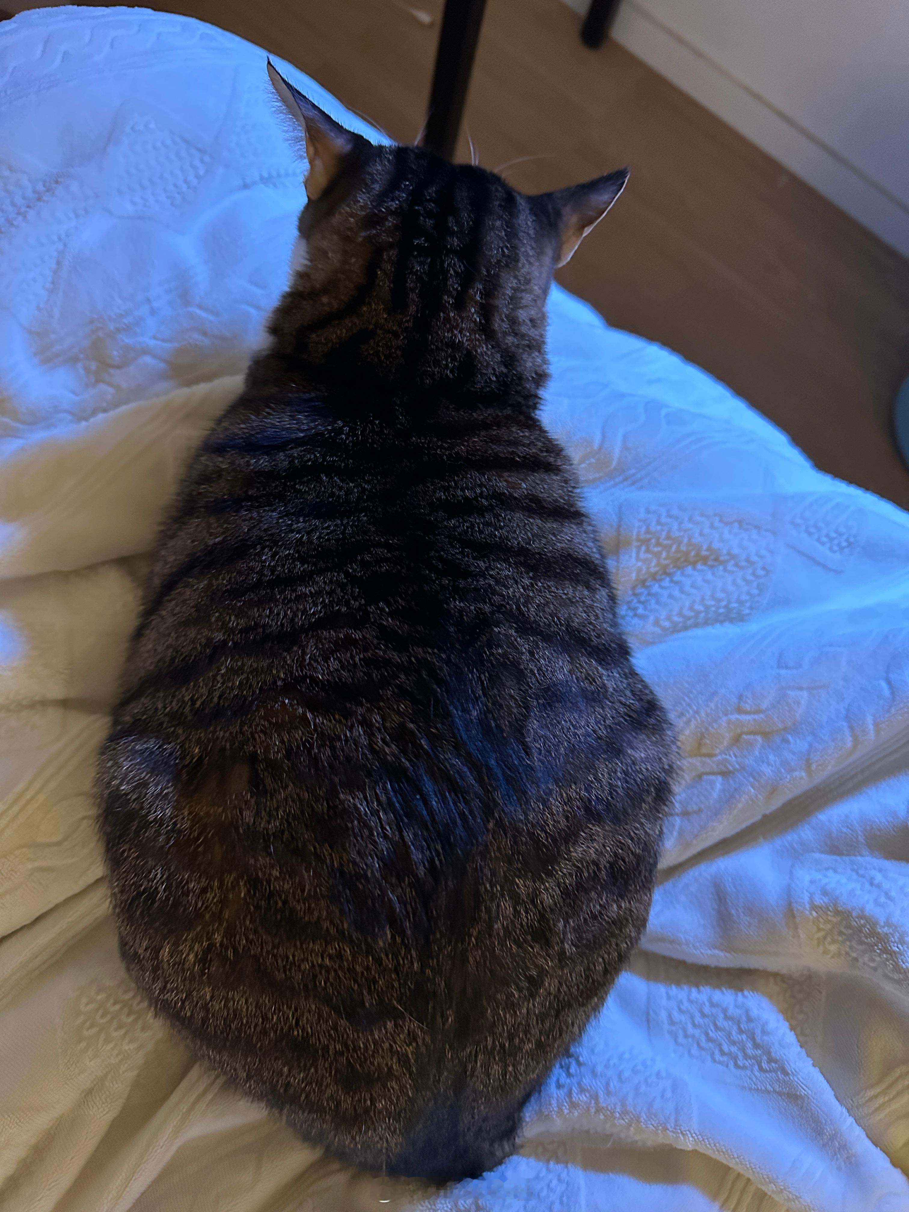 今天最后一天投票 谢谢大家了邮箱📪2026zjxmjy