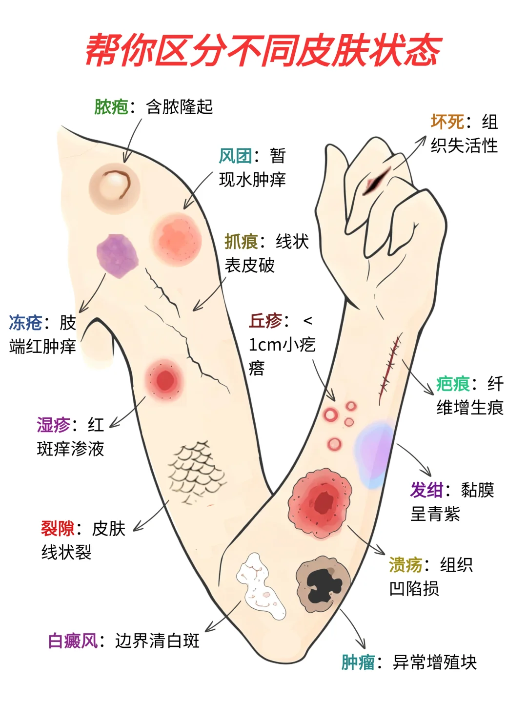 🔥帮你区分不同部位的皮肤状态……