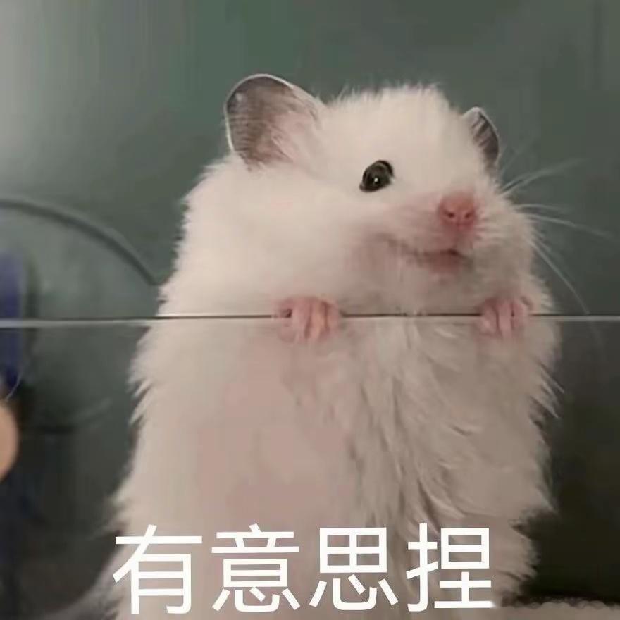 罗正这一次，应该是要彻底翻红了！而且，还能同时兼顾，成为网红自媒体博主！罗正公开