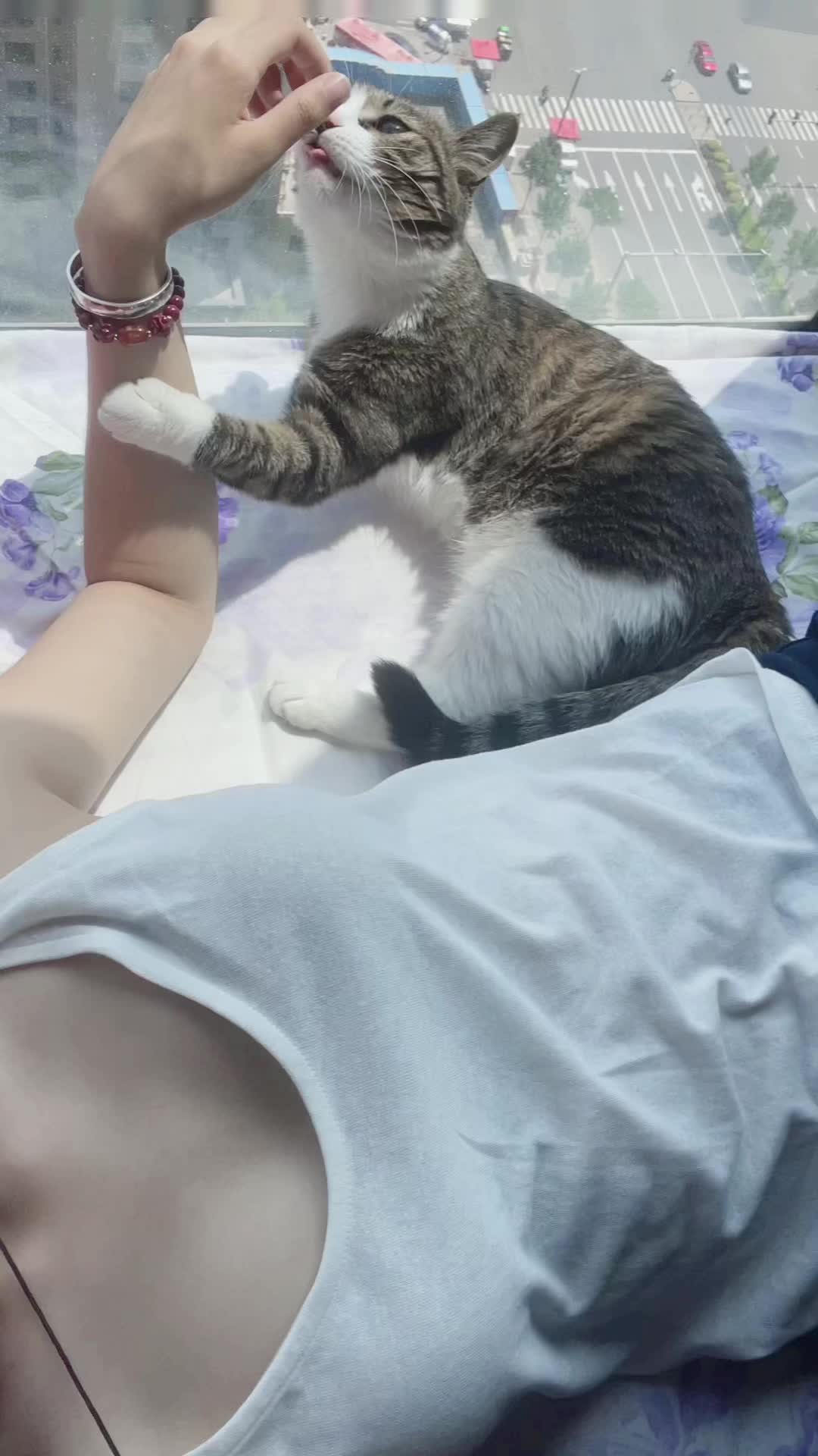 记录下了虎子的犯罪时刻