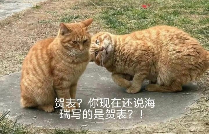 晚安，淄博 ~ 