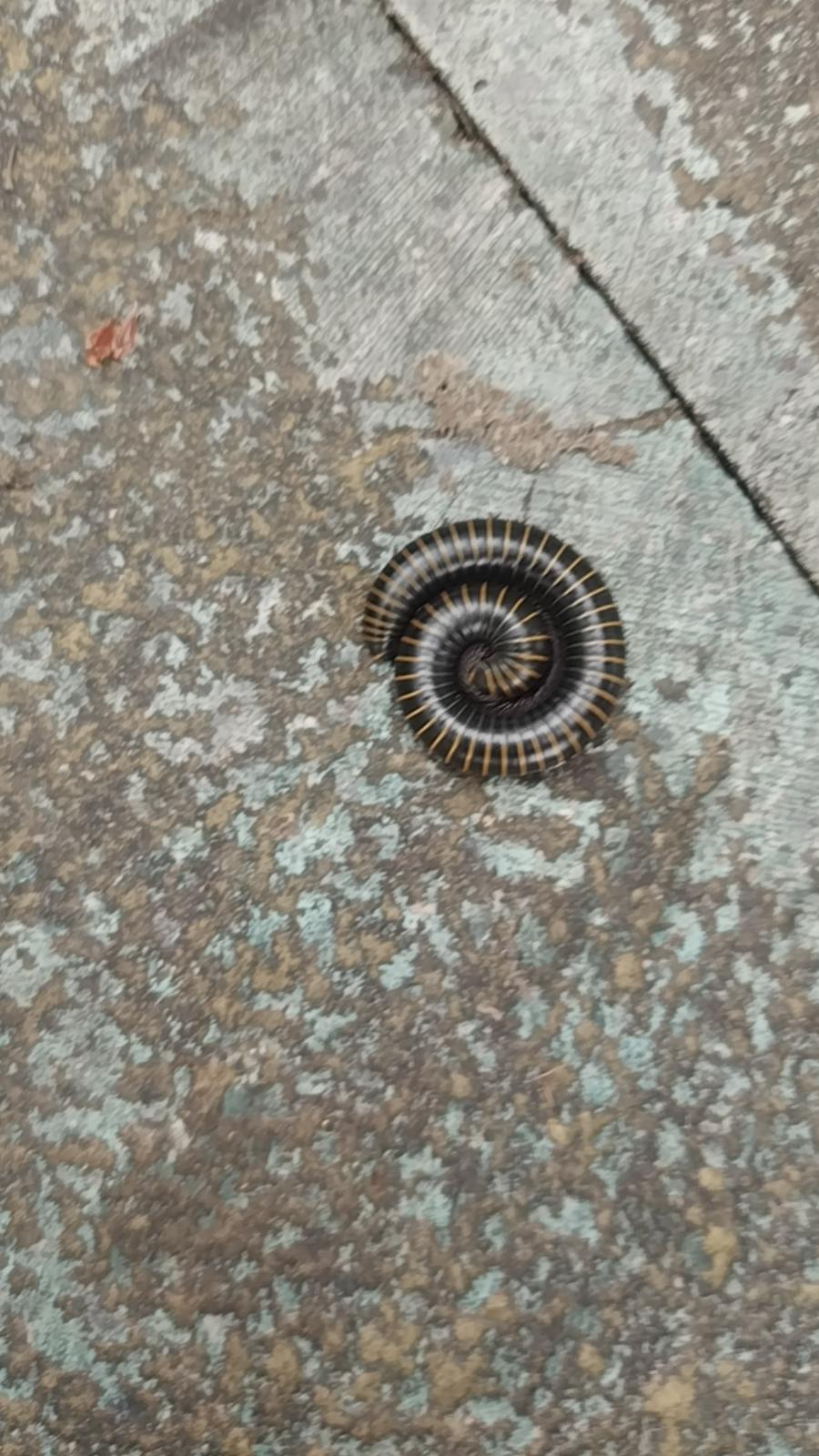 一件小事，
却使我突然发现，
我今天为什么会变成这样？
昨晚，
孩子非要先看电视