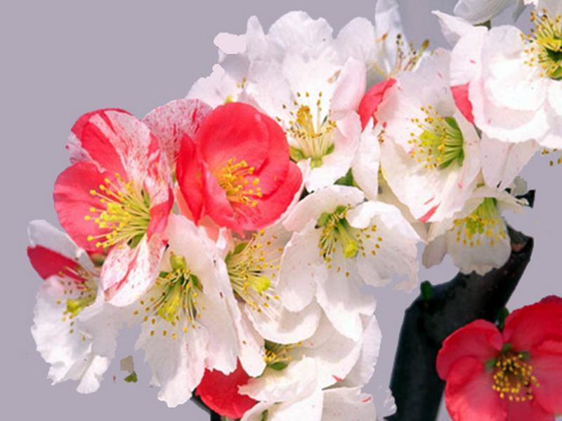 科学养生是健康生活的基石，能让我们收获健康一生、快乐一生、平安一生与幸福一生的美