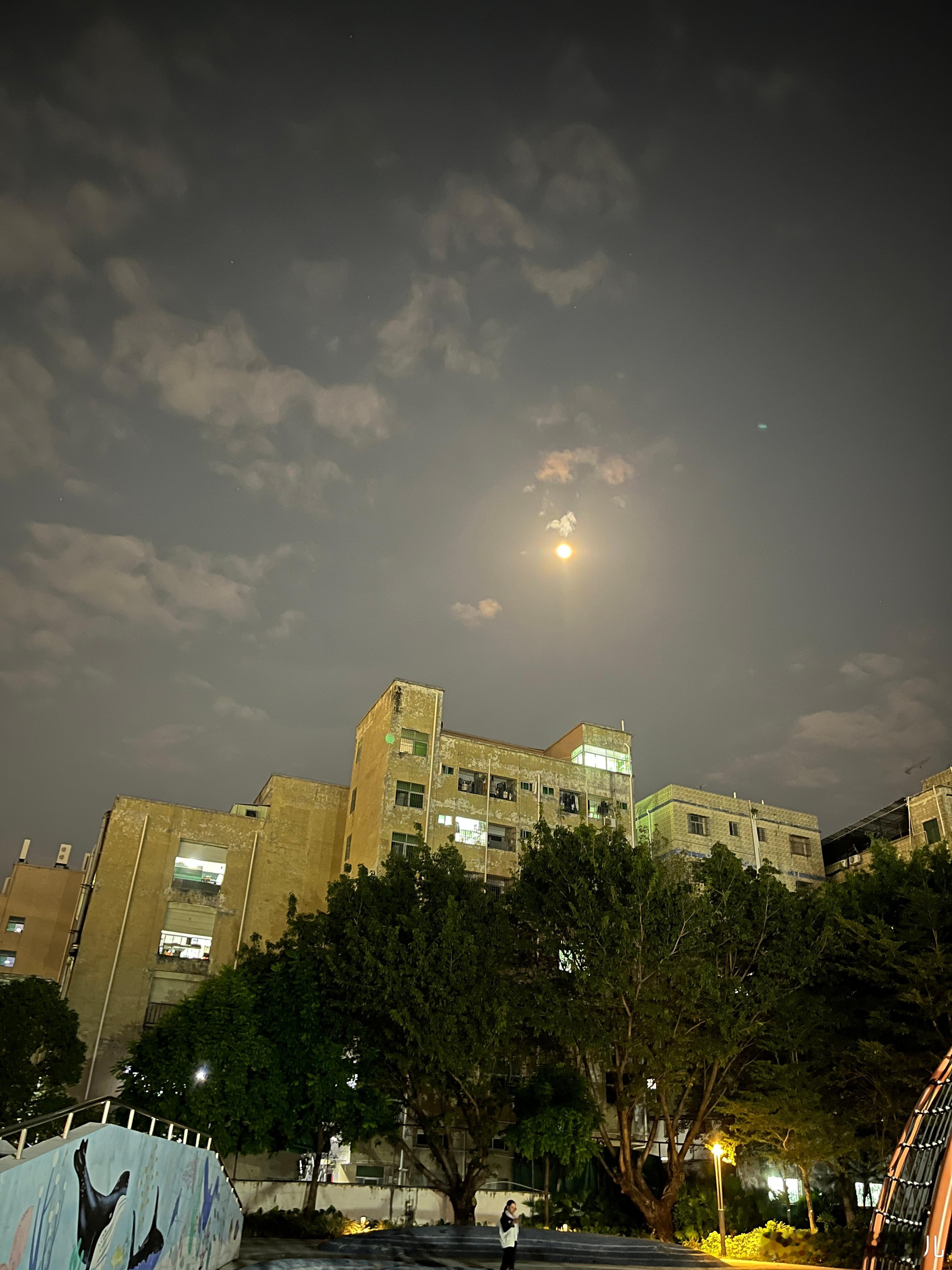 今晚的月亮好圆，这个家伙真的还能再吃一个，她带了一个过来，放在包里，本来说要带两