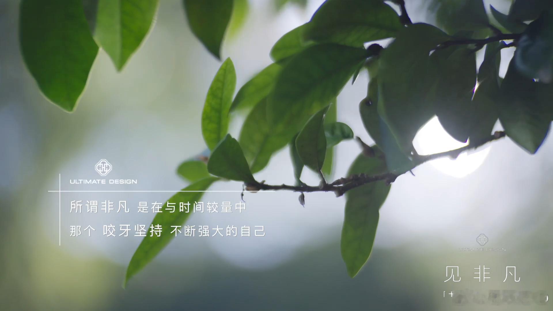 华为见非凡对话汪顺见天地、见自己、见非凡，从6岁跃入泳池到站在最高领奖台，汪顺用