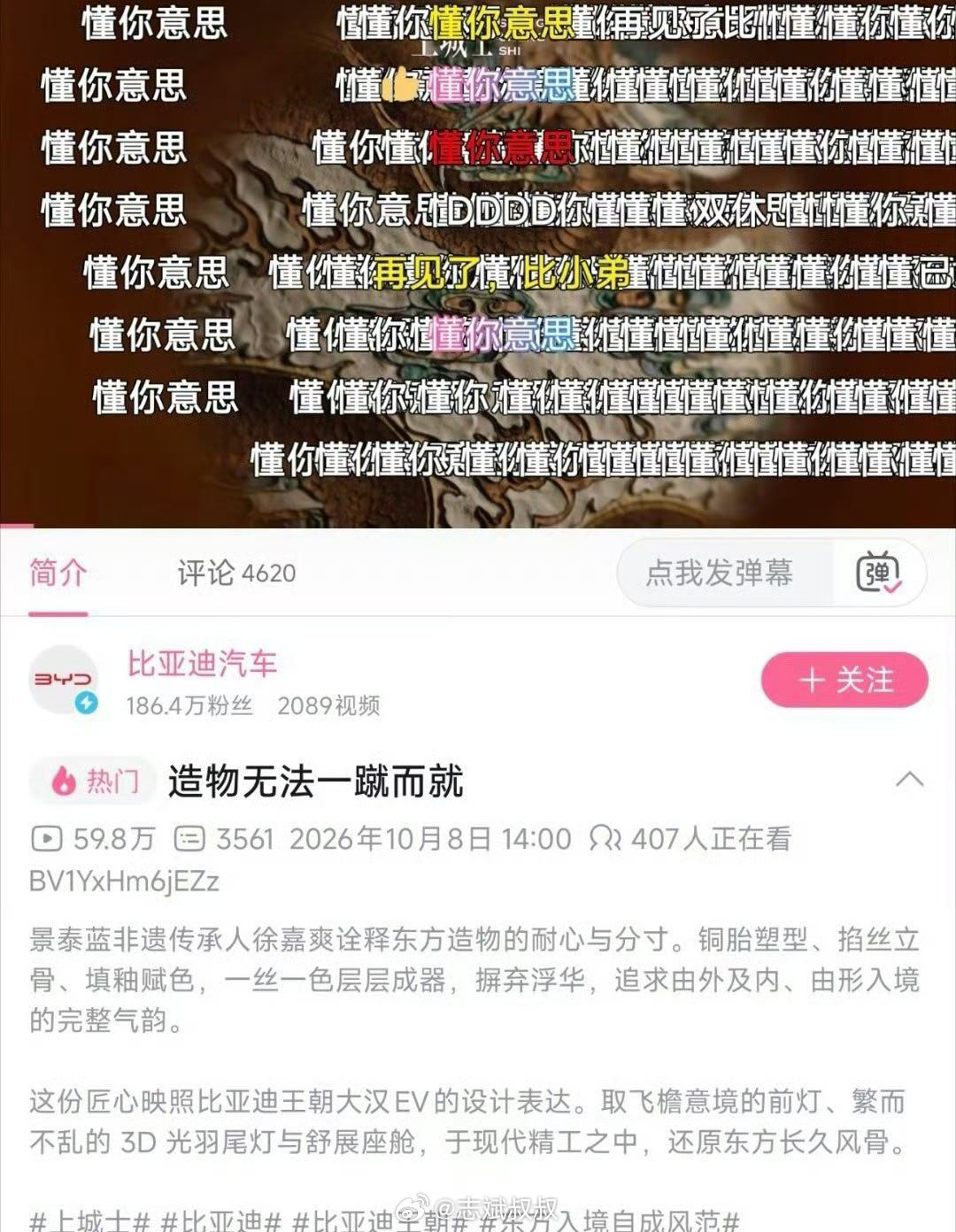 ？？？？？比亚迪，你……[费解]  ​​​