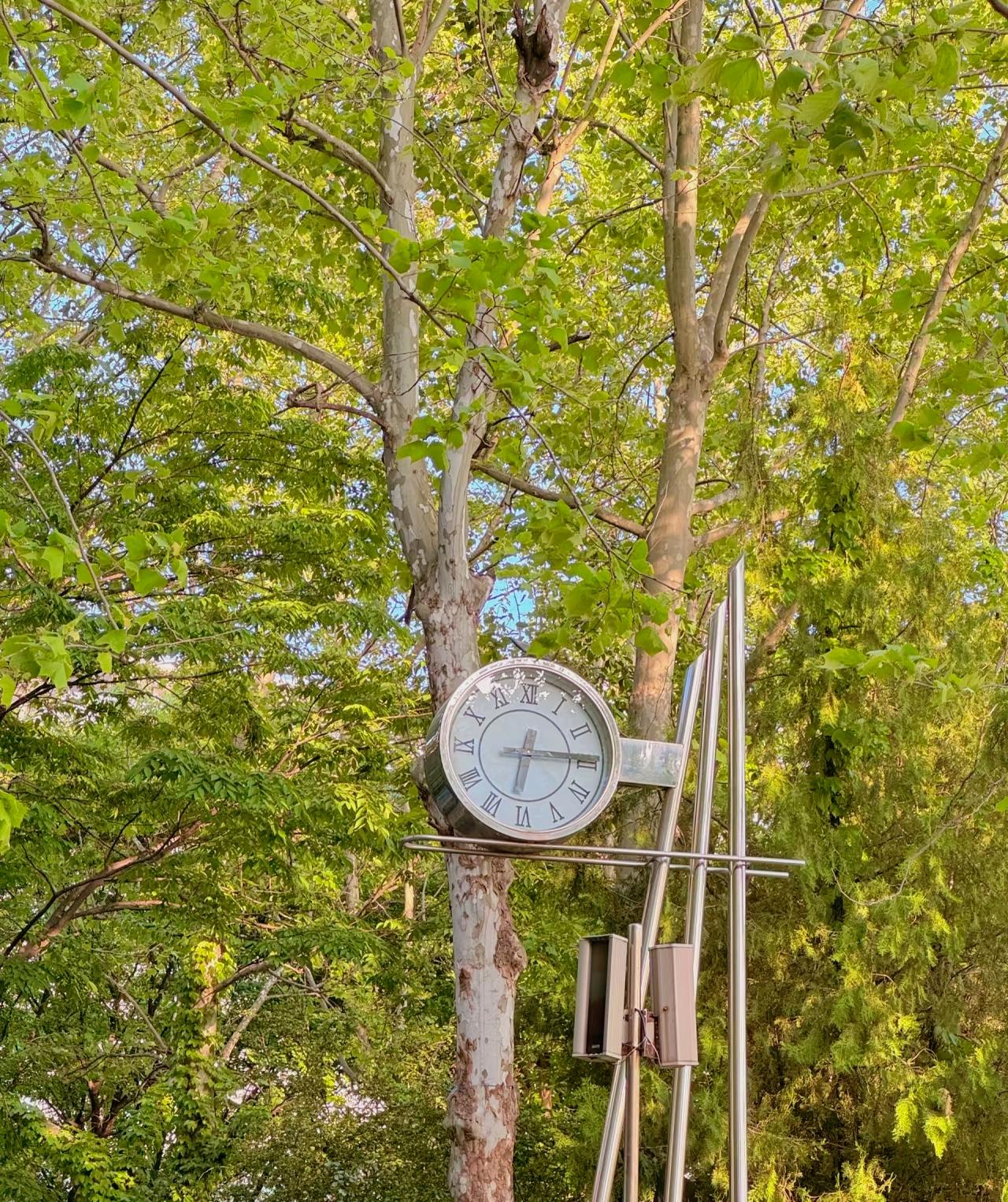 ：）
“中国男人唯一的困境就是放不下传宗接代的执念，还有一种很强烈的匮乏感。说白