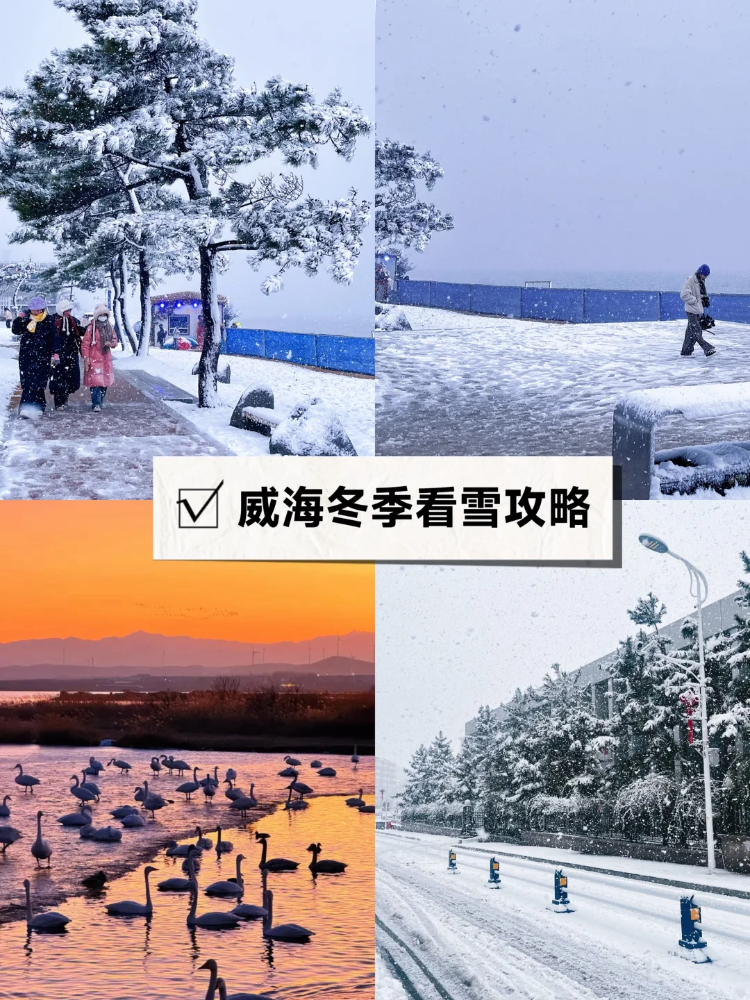 威海已N刷！冬天来威海看雪❄️只需要2天！