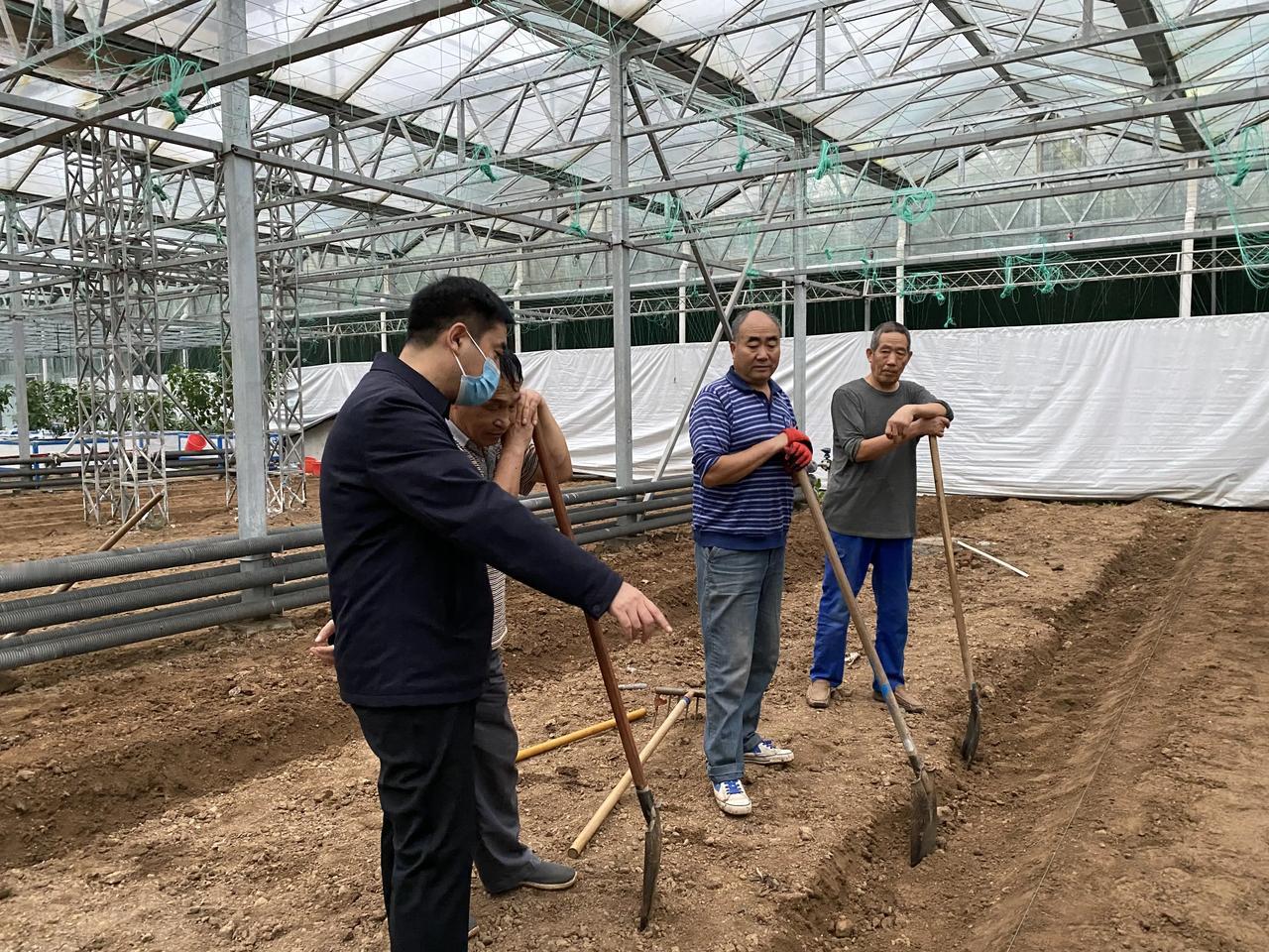 寿光菜博会11号展厅农业 
辣椒、番茄土壤免耕栽培安排！
全元素追肥代替底肥、可